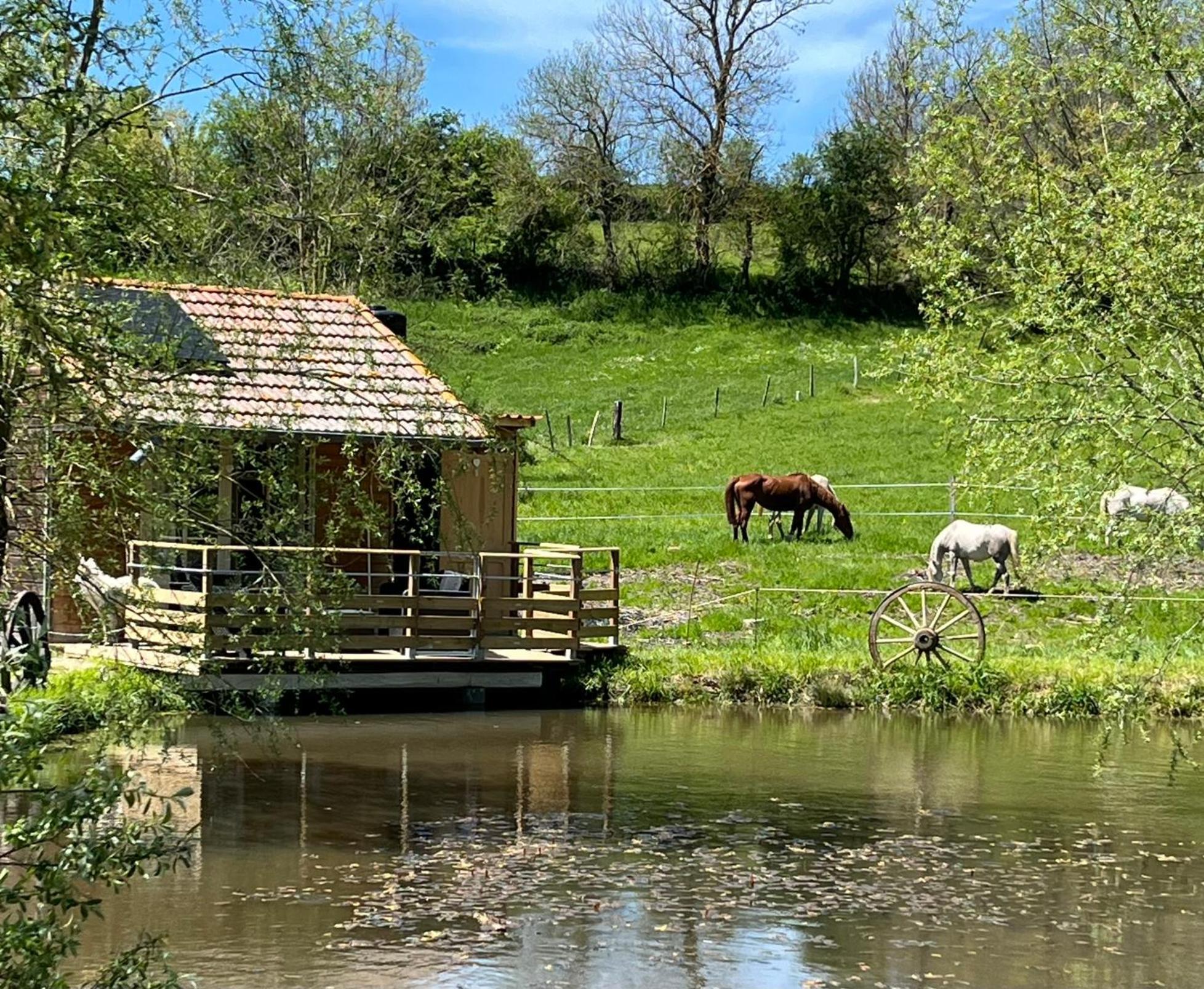 Au Bord D'un Etang Saint-Pierre-Eynac