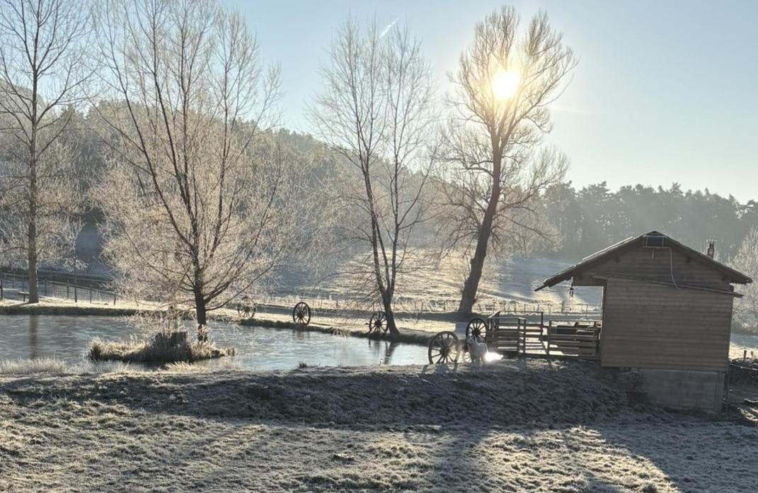 Au Bord D'un Etang Country house